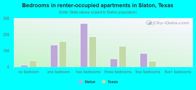 Bedrooms in renter-occupied apartments in Slaton, Texas