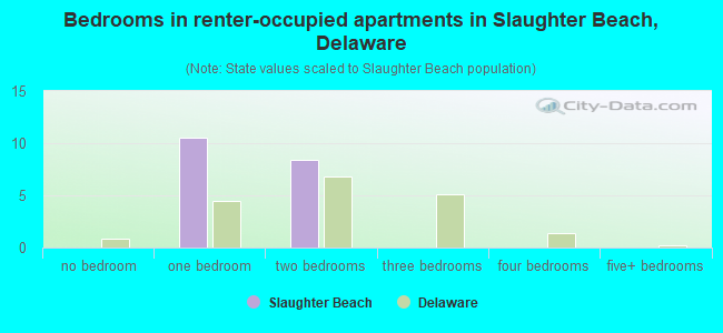 Bedrooms in renter-occupied apartments in Slaughter Beach, Delaware