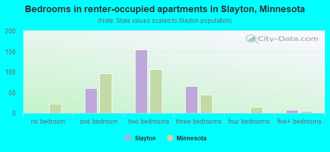 Bedrooms in renter-occupied apartments in Slayton, Minnesota