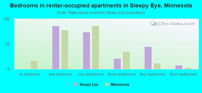 Bedrooms in renter-occupied apartments in Sleepy Eye, Minnesota