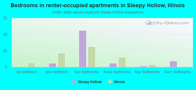 Bedrooms in renter-occupied apartments in Sleepy Hollow, Illinois