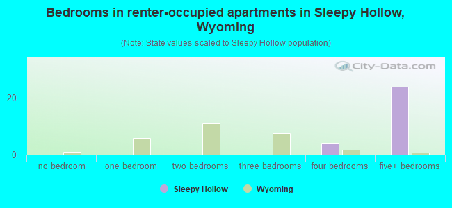 Bedrooms in renter-occupied apartments in Sleepy Hollow, Wyoming