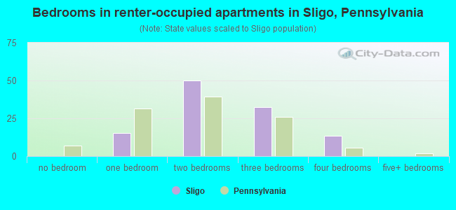 Bedrooms in renter-occupied apartments in Sligo, Pennsylvania