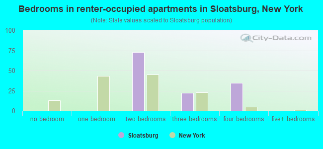 Bedrooms in renter-occupied apartments in Sloatsburg, New York