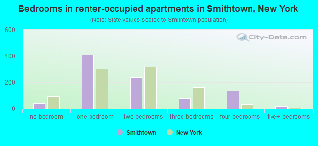 Bedrooms in renter-occupied apartments in Smithtown, New York