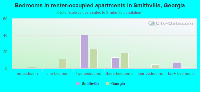 Bedrooms in renter-occupied apartments in Smithville, Georgia