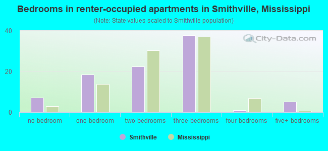 Bedrooms in renter-occupied apartments in Smithville, Mississippi