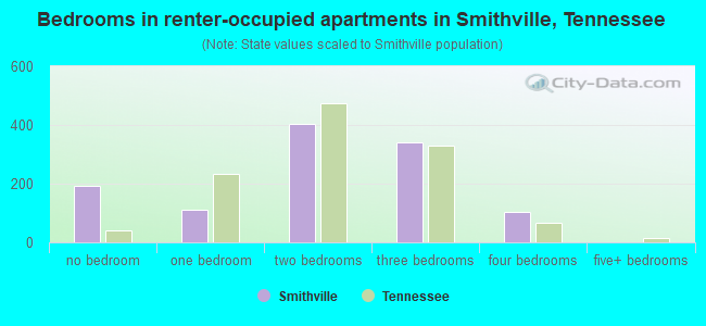 Bedrooms in renter-occupied apartments in Smithville, Tennessee