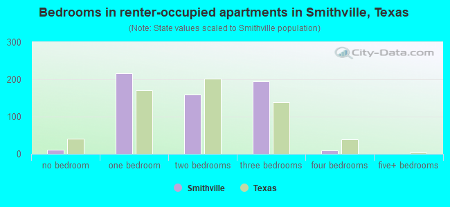 Bedrooms in renter-occupied apartments in Smithville, Texas