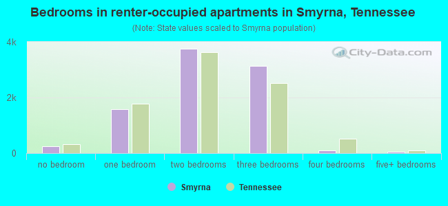 Bedrooms in renter-occupied apartments in Smyrna, Tennessee