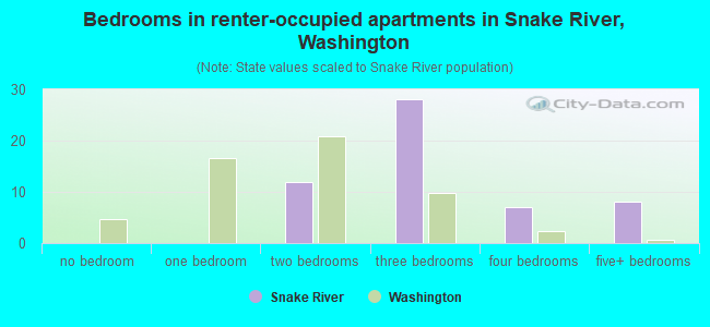 Bedrooms in renter-occupied apartments in Snake River, Washington