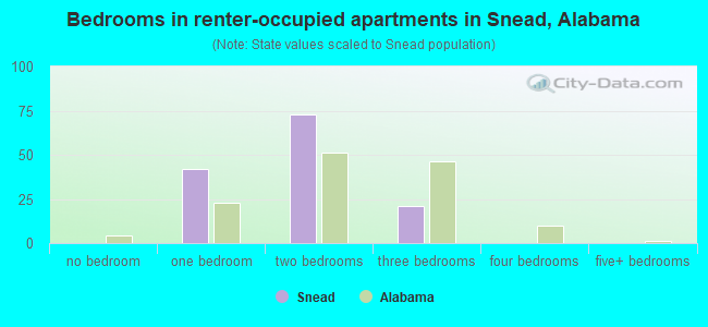 Bedrooms in renter-occupied apartments in Snead, Alabama