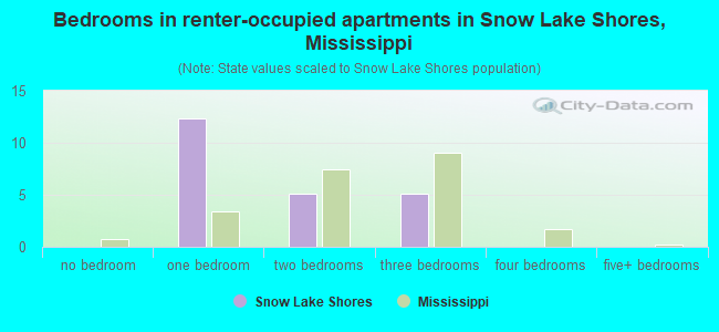 Bedrooms in renter-occupied apartments in Snow Lake Shores, Mississippi