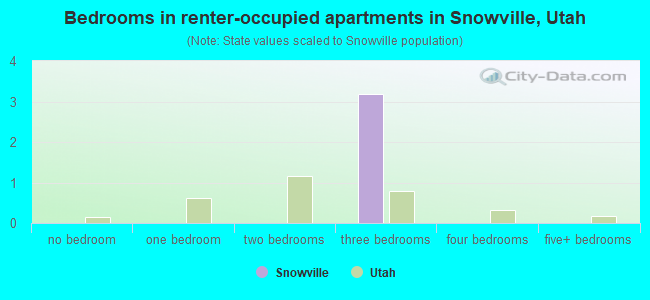Bedrooms in renter-occupied apartments in Snowville, Utah