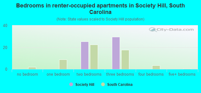 Bedrooms in renter-occupied apartments in Society Hill, South Carolina