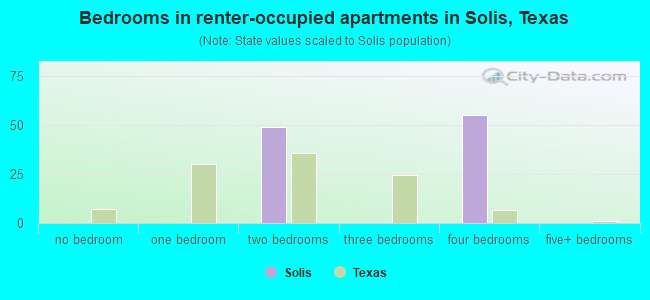Bedrooms in renter-occupied apartments in Solis, Texas