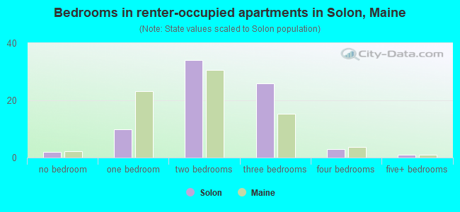 Bedrooms in renter-occupied apartments in Solon, Maine