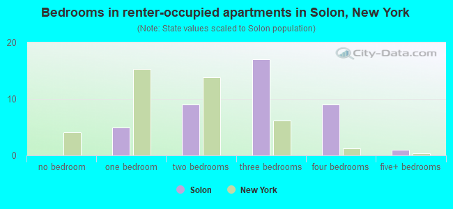 Bedrooms in renter-occupied apartments in Solon, New York