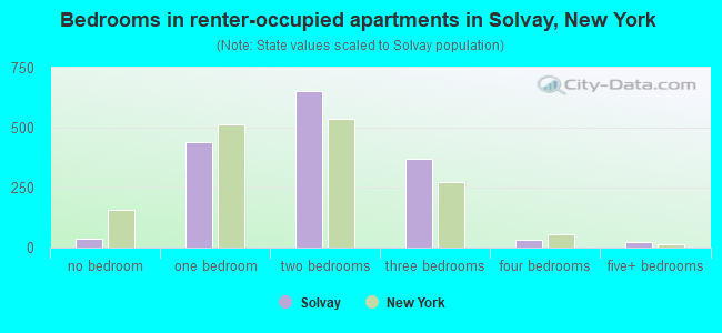 Bedrooms in renter-occupied apartments in Solvay, New York