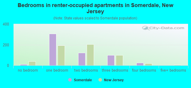 Bedrooms in renter-occupied apartments in Somerdale, New Jersey