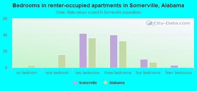 Bedrooms in renter-occupied apartments in Somerville, Alabama