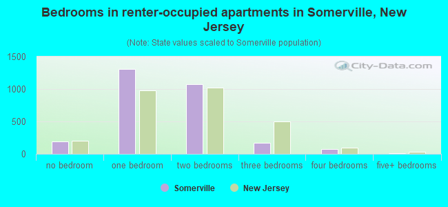 Bedrooms in renter-occupied apartments in Somerville, New Jersey