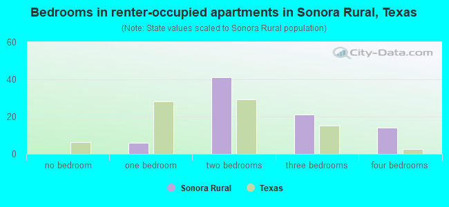 Bedrooms in renter-occupied apartments in Sonora Rural, Texas