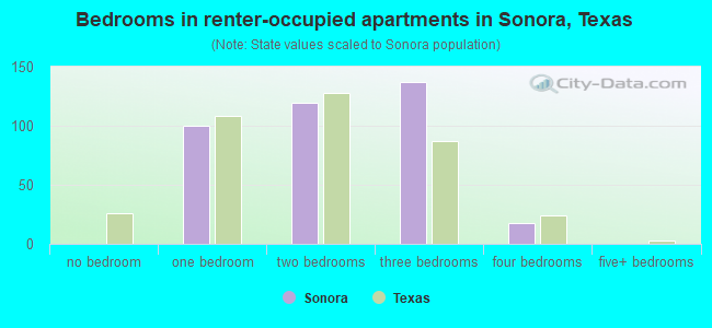 Bedrooms in renter-occupied apartments in Sonora, Texas