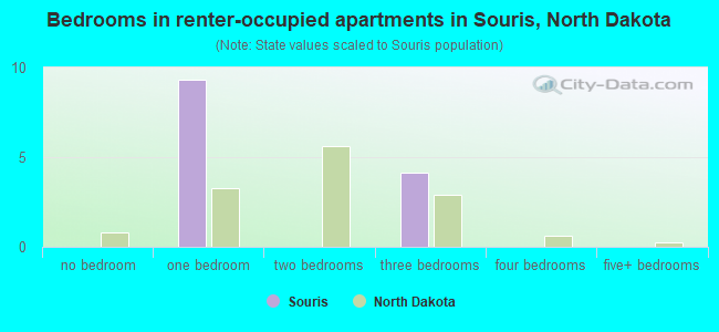 Bedrooms in renter-occupied apartments in Souris, North Dakota
