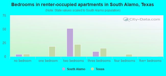 Bedrooms in renter-occupied apartments in South Alamo, Texas