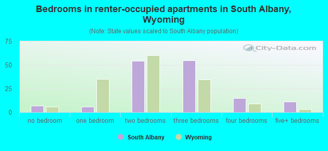 Bedrooms in renter-occupied apartments in South Albany, Wyoming