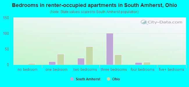 Bedrooms in renter-occupied apartments in South Amherst, Ohio
