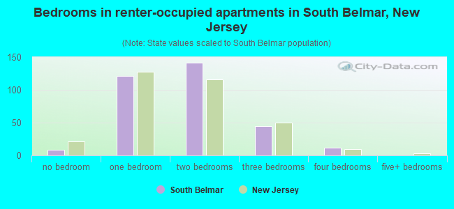 Bedrooms in renter-occupied apartments in South Belmar, New Jersey
