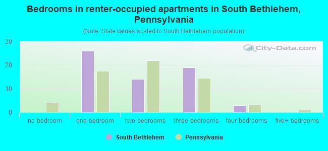 Bedrooms in renter-occupied apartments in South Bethlehem, Pennsylvania