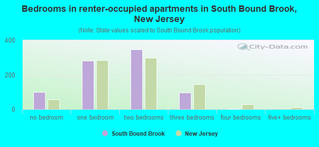 Bedrooms in renter-occupied apartments in South Bound Brook, New Jersey
