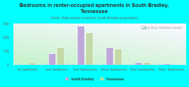 Bedrooms in renter-occupied apartments in South Bradley, Tennessee