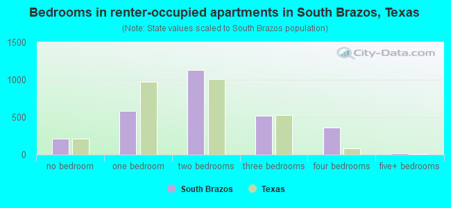 Bedrooms in renter-occupied apartments in South Brazos, Texas