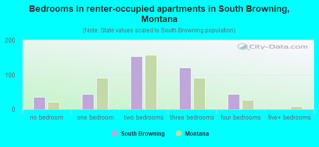 Bedrooms in renter-occupied apartments in South Browning, Montana