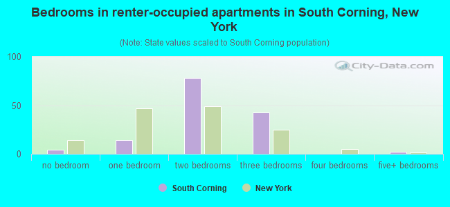 Bedrooms in renter-occupied apartments in South Corning, New York