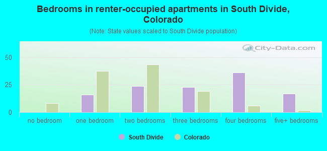 Bedrooms in renter-occupied apartments in South Divide, Colorado