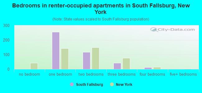 Bedrooms in renter-occupied apartments in South Fallsburg, New York
