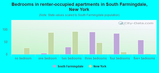 Bedrooms in renter-occupied apartments in South Farmingdale, New York