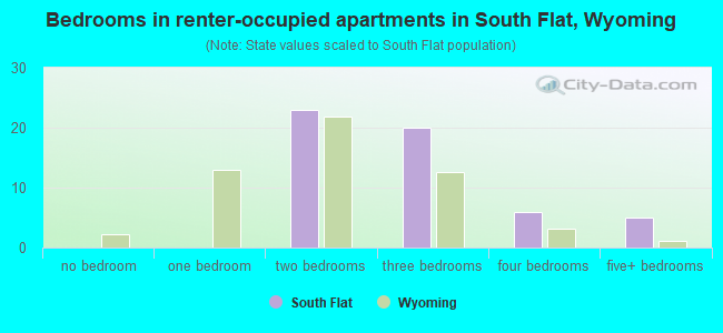 Bedrooms in renter-occupied apartments in South Flat, Wyoming