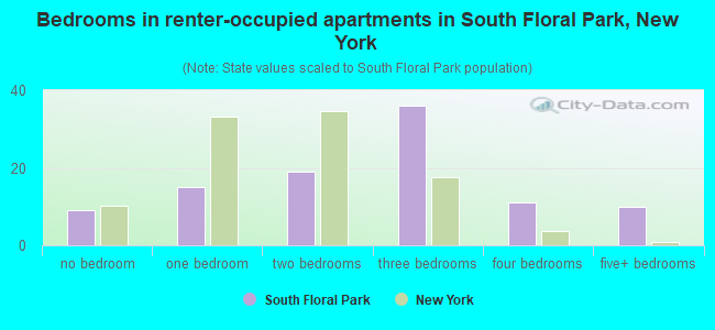 Bedrooms in renter-occupied apartments in South Floral Park, New York