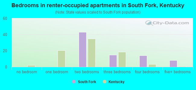 Bedrooms in renter-occupied apartments in South Fork, Kentucky