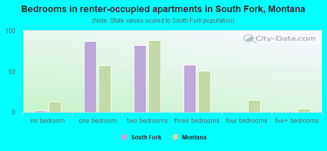 Bedrooms in renter-occupied apartments in South Fork, Montana
