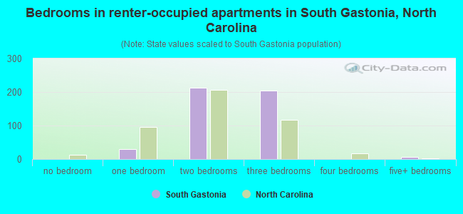 Bedrooms in renter-occupied apartments in South Gastonia, North Carolina