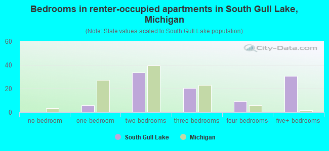 Bedrooms in renter-occupied apartments in South Gull Lake, Michigan