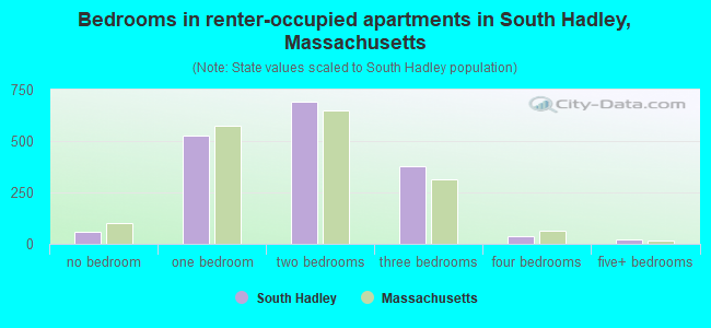 Bedrooms in renter-occupied apartments in South Hadley, Massachusetts