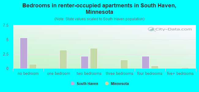 Bedrooms in renter-occupied apartments in South Haven, Minnesota